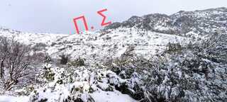 hxonews Ορεινό, Παντελής Σαρικλάκης